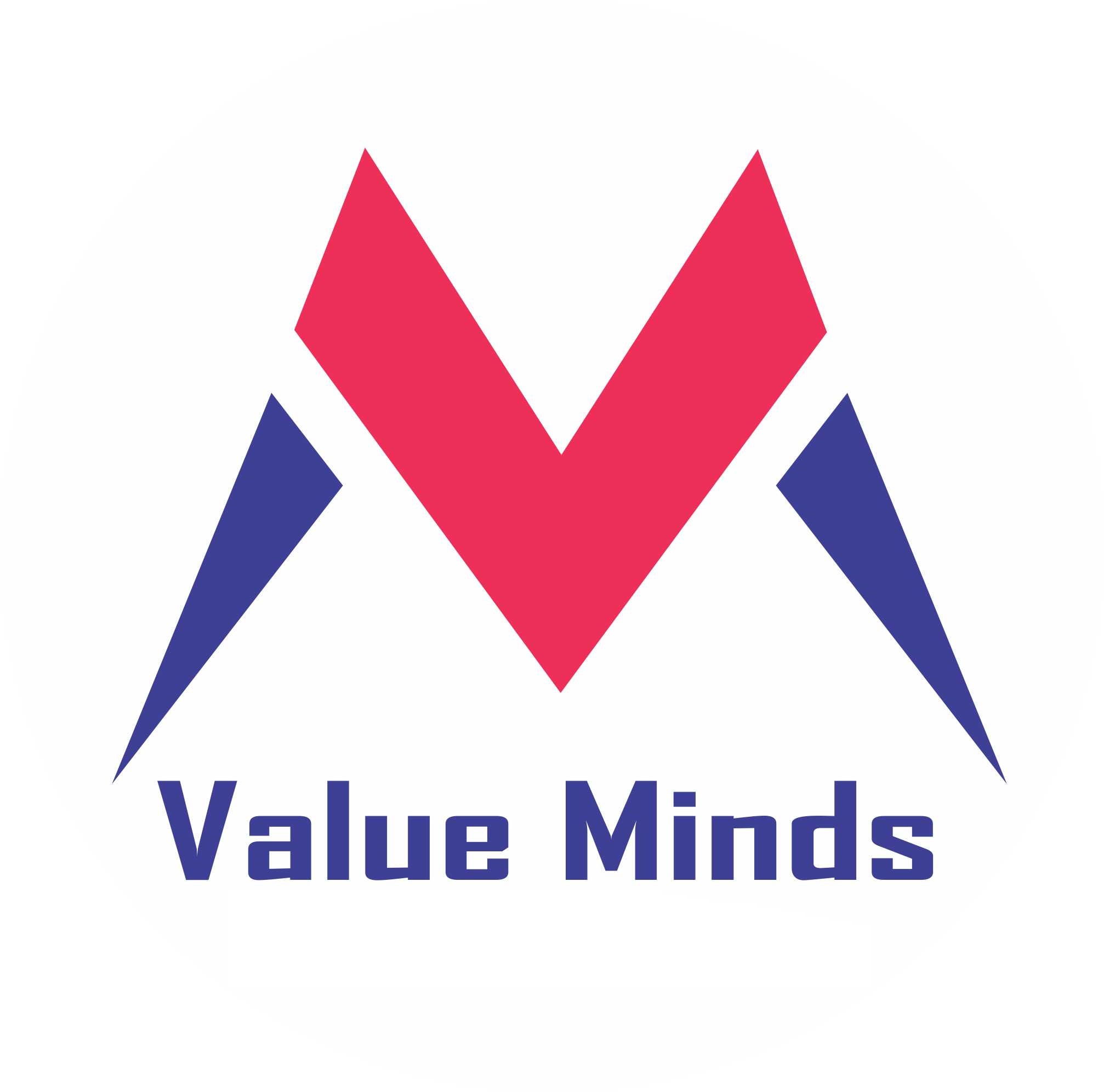 Value Minds IT Services Pvt Ltd